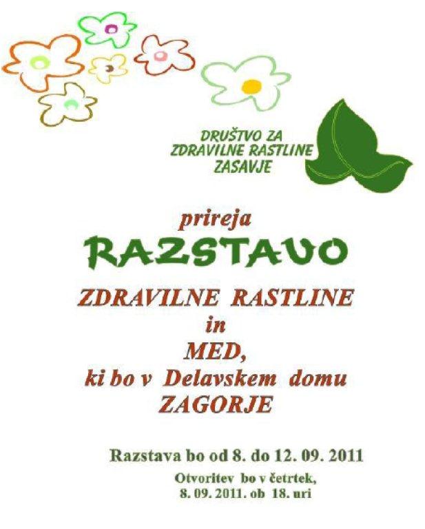 Zdravilne rastline in med.jpg